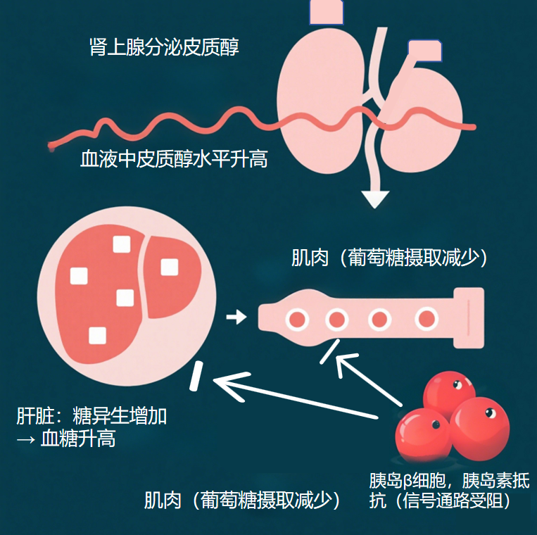 皮肤的无声警报：解码胰岛素…