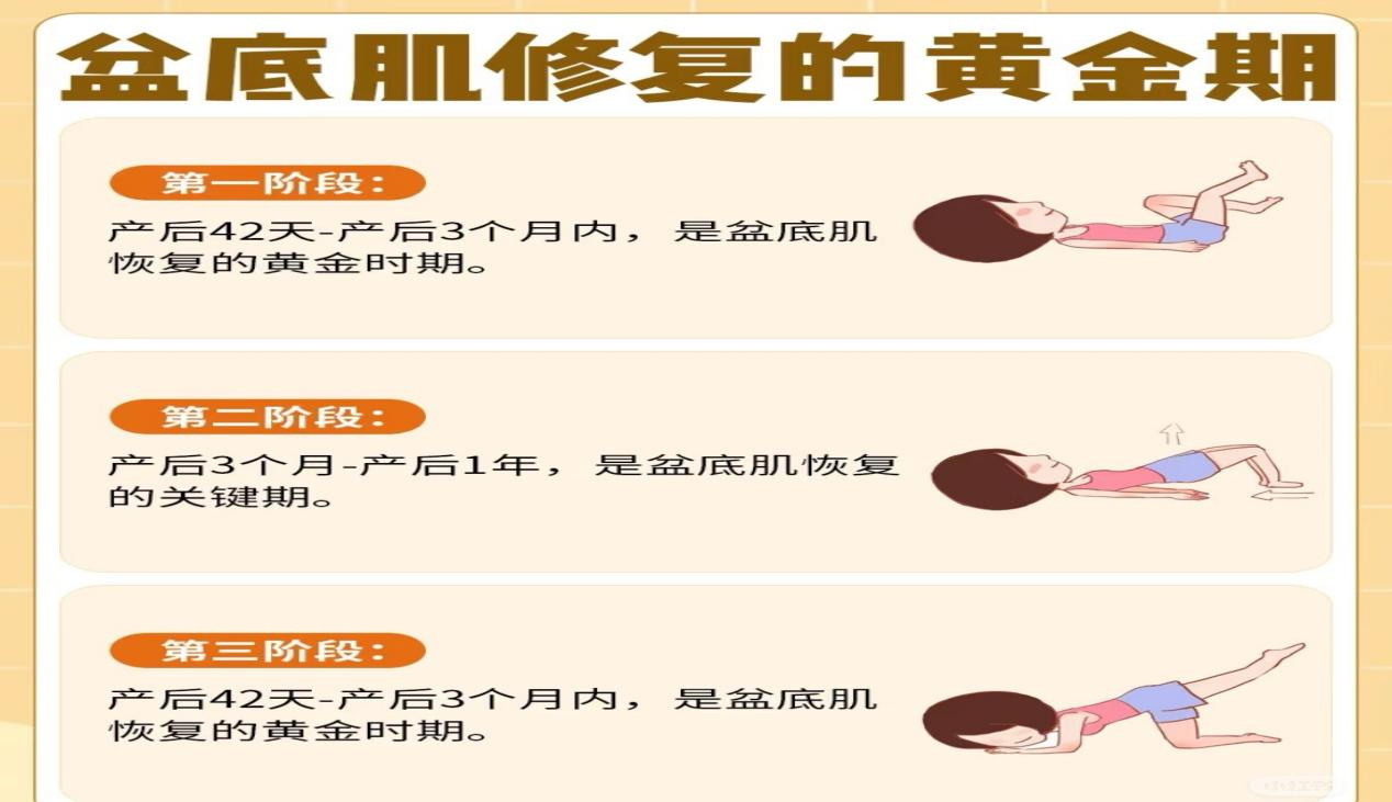 抓住产后恢复黄金期 重塑健康美态
