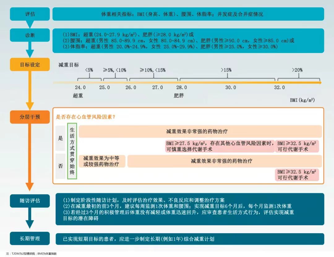 内分泌与体重管理专科门诊开…
