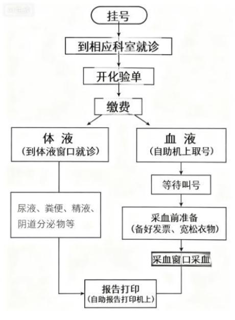 【就诊流程】门诊就诊不迷茫…